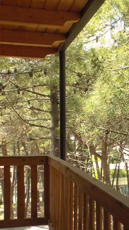 Hotel Temali 2 Velipojë Εξωτερικό φωτογραφία