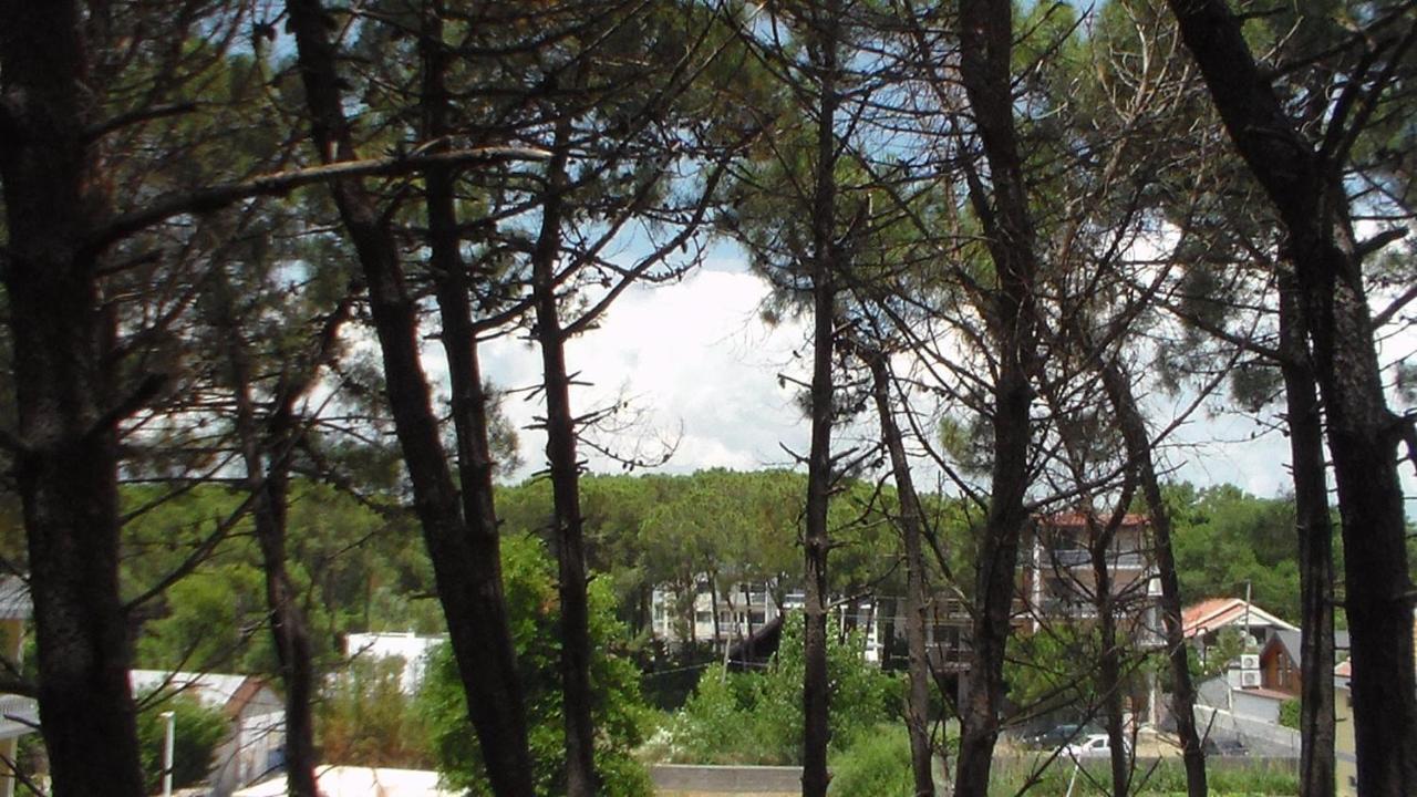 Hotel Temali 2 Velipojë Εξωτερικό φωτογραφία
