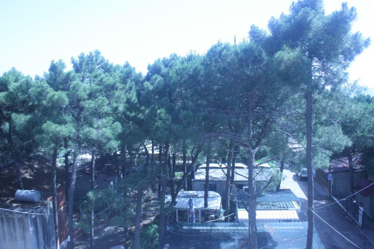 Hotel Temali 2 Velipojë Εξωτερικό φωτογραφία